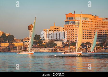 Feluken mit hohen Segeln gleiten in Luxor über den Nil, vorbei an modernen Gebäuden am Fluss unter warmem goldenem Licht am späten Nachmittag. Stockfoto