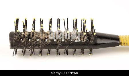 Bürste mit vollem Haar. Haare auf der Bürste, Haarausfall-Problem. Stockfoto