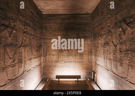 Altägyptische Reliefs in einem Tempel auf Philae Island, Assuan, Ägypten Stockfoto