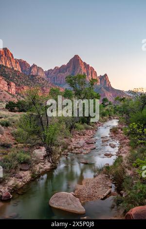 Watchman and Virgin River im Zion National Park, Utah Stockfoto