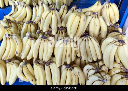 Ein Foto von Bananen auf dem Markt in Mexiko Stockfoto