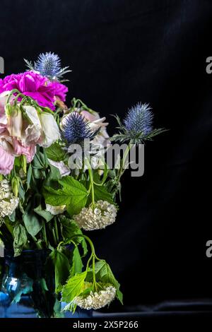 Das Wesen der Vergänglichkeit einfangen – verdorbene Blüten stehen anmutig in einer ruhigen blauen Vase und erwecken vor dem Hintergrund ein Gefühl poetischer Nostalgie Stockfoto