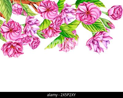 Rosa Japanischer Sakura-Blütenzweig. Botanische Illustrationsblumen im Frühling. Handgezeichnete Blütenknospen, Blütenblätter und Blätter von Kirschblüten Stockfoto