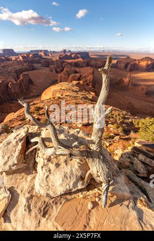 Malerischer Blick auf die prächtigen Buttes im Monument Valley an einem hellen, lebhaften Frühlingstag. Stockfoto