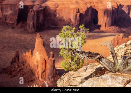 Malerischer Blick auf die prächtigen Buttes im Monument Valley an einem hellen, lebhaften Frühlingstag. Stockfoto