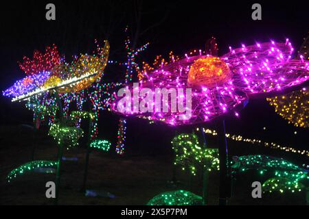 Öffentliche Weihnachtsbeleuchtung in den USA Stockfoto