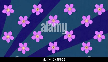 Violette Blüten mit gelber Mitte sind auf blauem Hintergrund verstreut Stockfoto