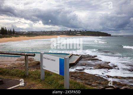Sydney Beach, Blick entlang des Curl Curl Beach an der Ostküste von Sydney, vom Brian Green Lookout, Sydney, NSW, Australien Stockfoto
