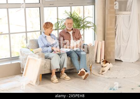 Reifes Paar mit Farbpaletten und Hund, der während der Reparatur in ihrem neuen Haus auf dem Sofa sitzt Stockfoto
