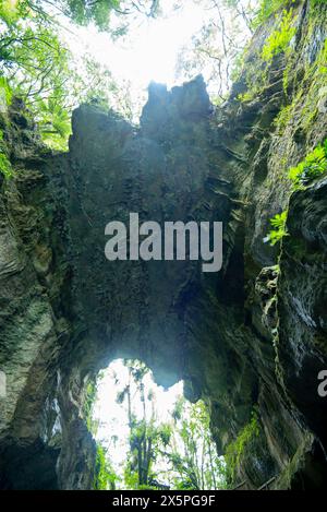 Mangapohue Natural Bridge - Neuseeland Stockfoto