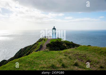 TE Paki Coastal Track in Cape Reinga - Neuseeland Stockfoto