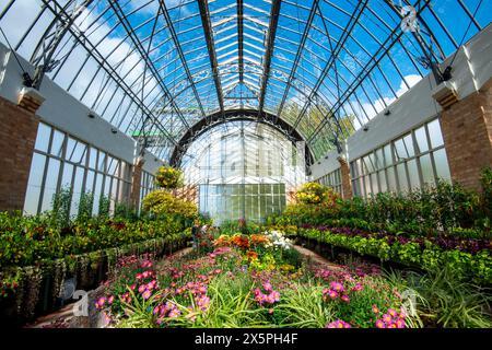 Domain Wintergarden - Auckland - Neuseeland Stockfoto