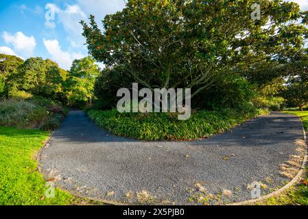 Auckland Botanic Gardens - Neuseeland Stockfoto