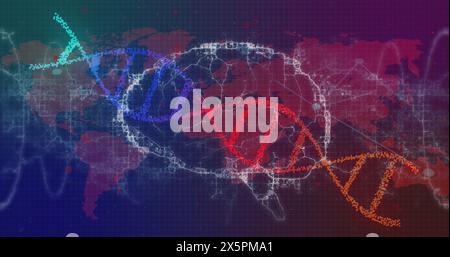 Bild des dna-Strangs, des menschlichen Gehirns über der Weltkarte und der wissenschaftlichen Datenverarbeitung Stockfoto