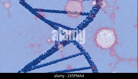 Bild von dna und molekularen Strukturen, die vor blauem Hintergrund schweben Stockfoto