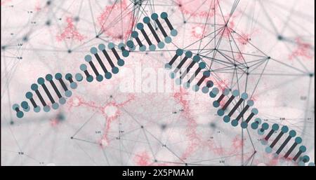 Bild des Netzwerks von Verbindungen, dna und molekularen Strukturen, die vor grauem Hintergrund schweben Stockfoto