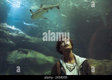 ERSCHEINUNGSDATUM: 5. Juni 2024. TITEL: Under Paris. STUDIO: Netflix. DIREKTOR: Xavier Gens. Sophia, eine brillante Wissenschaftlerin, erfährt, dass ein großer Hai tief im Fluss schwimmt. DIE HAUPTROLLE: BERENICE BEJO als Sophia. (Credit Image: © Netflix/Entertainment Pictures/ZUMAPRESS.com) NUR REDAKTIONELLE VERWENDUNG! Nicht für kommerzielle ZWECKE! Stockfoto