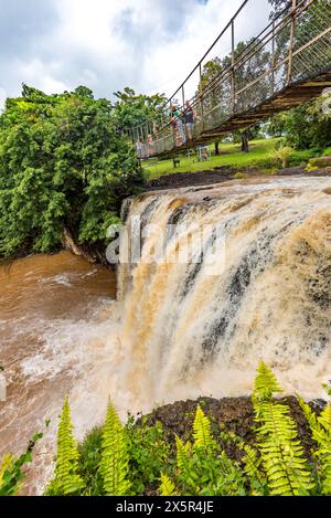 Der Sedimant füllte braune Gewässer eines überfluteten Mena Creek und der Hängebrücke im Paronella Park in Far North Queensland, Australien Stockfoto