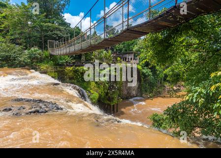 Der Sedimant füllte braune Gewässer eines überfluteten Mena Creek und der Hängebrücke im Paronella Park in Far North Queensland, Australien Stockfoto