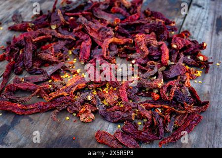 Getrocknete Kashmiri Chilli mit Samen: Authentisches indisches Gewürz - Stockfoto