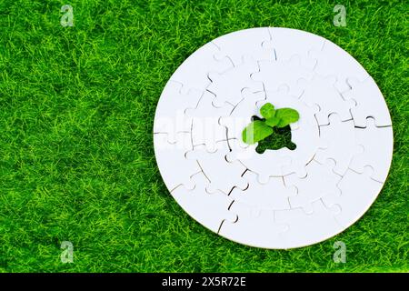 Frischer Spross bricht durch ein Loch in der Mitte eines leeren Puzzles auf grünem Rasen. Wachstums- und entwicklungsbezogenes Konzept. Stockfoto