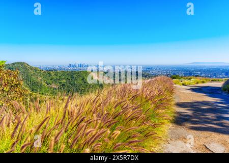 Das weitläufige Stadtbild von Los Angeles, umrahmt von üppigem Grün, blüht auf dem Hügel nahe dem Fuß des berühmten Hollywood-Schilds. Stockfoto