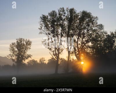 Sonnenaufgang, Sonnenstrahlen brechen durch den Rand eines Waldes, Frühnebel auf einer Wiese, bei Irdning, Ennstal, Steiermark, Österreich Stockfoto