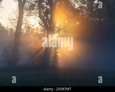 Sonnenaufgang, Sonnenstrahlen brechen durch den Waldrand, bei Irdning, Ennstal, Steiermark, Österreich Stockfoto