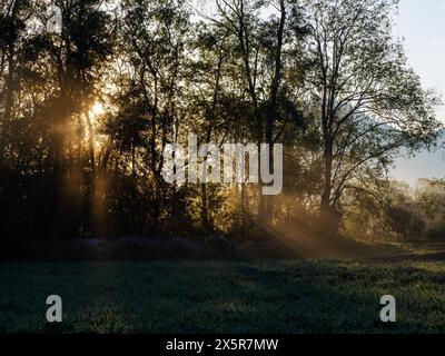 Sonnenaufgang, Sonnenstrahlen brechen durch den Waldrand, bei Irdning, Ennstal, Steiermark, Österreich Stockfoto