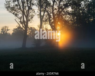 Sonnenaufgang, Sonnenstrahlen brechen durch den Rand eines Waldes, Frühnebel auf einer Wiese, bei Irdning, Ennstal, Steiermark, Österreich Stockfoto