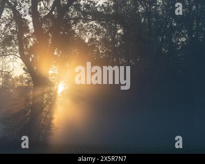 Sonnenaufgang, Sonnenstrahlen brechen durch den Waldrand, bei Irdning, Ennstal, Steiermark, Österreich Stockfoto