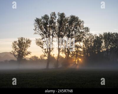 Sonnenaufgang, Sonnenstrahlen brechen durch den Rand eines Waldes, Frühnebel auf einer Wiese, bei Irdning, Ennstal, Steiermark, Österreich Stockfoto