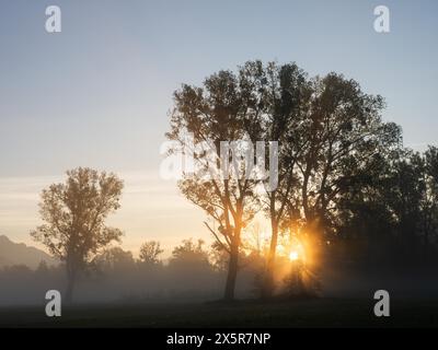 Sonnenaufgang, Sonnenstrahlen brechen durch den Waldrand, bei Irdning, Ennstal, Steiermark, Österreich Stockfoto