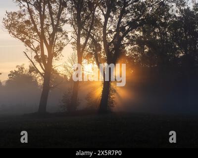 Sonnenaufgang, Sonnenstrahlen brechen durch den Waldrand, bei Irdning, Ennstal, Steiermark, Österreich Stockfoto