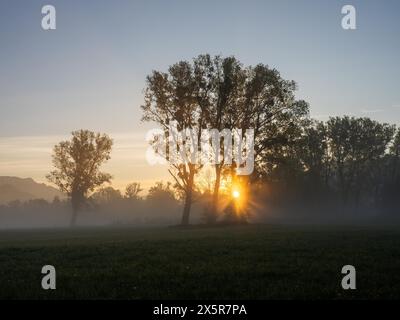 Sonnenaufgang, Sonnenstrahlen brechen durch den Waldrand, bei Irdning, Ennstal, Steiermark, Österreich Stockfoto
