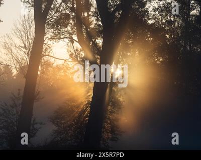 Sonnenaufgang, Sonnenstrahlen brechen durch den Rand eines Waldes, Frühnebel auf einer Wiese, bei Irdning, Ennstal, Steiermark, Österreich Stockfoto