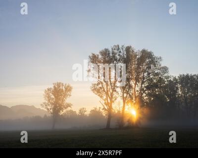 Sonnenaufgang, Sonnenstrahlen brechen durch den Rand eines Waldes, Frühnebel auf einer Wiese, bei Irdning, Ennstal, Steiermark, Österreich Stockfoto