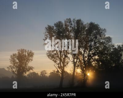 Sonnenaufgang, Sonnenstrahlen brechen durch den Rand eines Waldes, Frühnebel auf einer Wiese, bei Irdning, Ennstal, Steiermark, Österreich Stockfoto