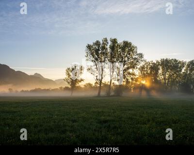 Sonnenaufgang, Sonnenstrahlen brechen durch den Rand eines Waldes, Frühnebel auf einer Wiese, bei Irdning, Ennstal, Steiermark, Österreich Stockfoto