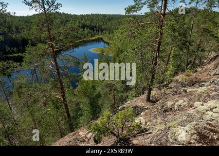 See im Wald, Isojaervi Nationalpark, Finnland Stockfoto