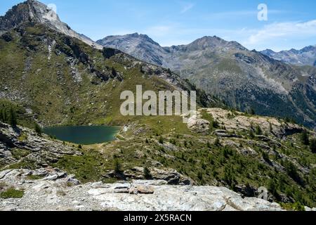 Der Aosta See spiegelt die Gipfel. Sommerwanderer in farbenfroher Ausrüstung bewundern Wildblumen auf Wiesen. Stockfoto
