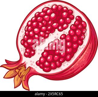 Granatapfelfrucht Farbige Detaillierte Illustration Stock Vektor