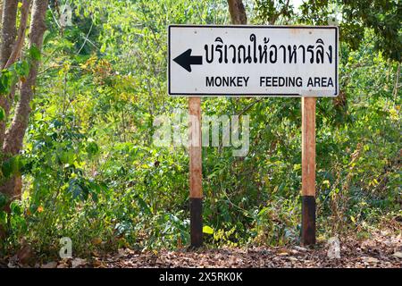 Seltenes altes Schild Affen Fütterungsgebiet Straße Seufzer in Thailand thai Sprache grüne Bäume im Freien Stockfoto