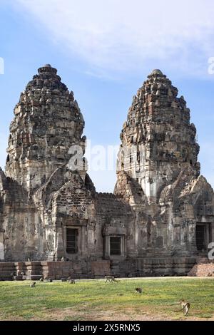 Historisches Schloss in Phra Prang Sam Yod, Lopburi Thailand viele Affen draußen Stockfoto