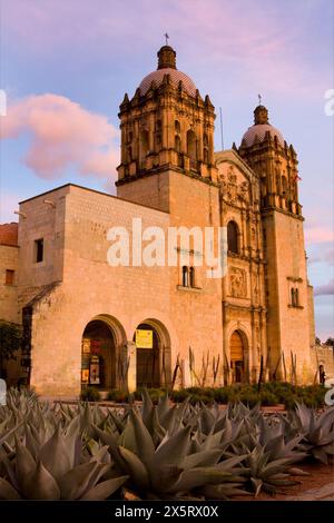 Oaxaca; Mexiko; Nordamerika. Kirche von Santo Domingo, erbaut 1570–1608, Agave wächst davor. Stockfoto