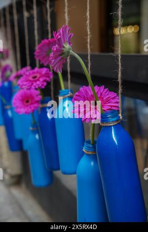 Eine Blütenstruktur violetter Blüten in Temps de Flors 2024. Blumenfest in Girona Stockfoto