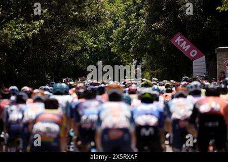 Italia. Mai 2024. Das Paket fährt Fahrten während der 8. Etappe des Giro d’Italia von Spoleto nach Prati di Tivo, 11. Mai 2024 Italien. (Foto: Fabio Ferrari/LaPresse) Credit: LaPresse/Alamy Live News Stockfoto