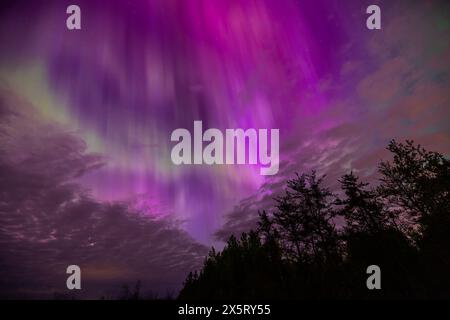 Farbenfrohe Nordlichter (Aurora Borealis), die den Himmel in einer schönen Frühlingsnacht in der Nähe von Kanata, Ontario, Kanada, erleuchten Stockfoto