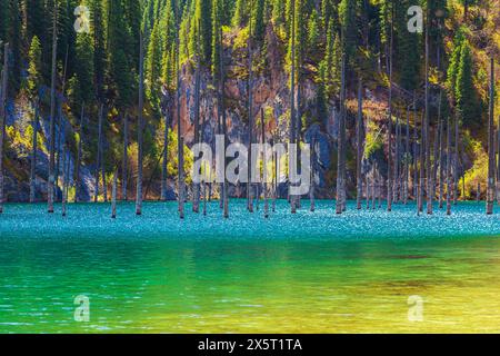 Versunkener Wald im Bergsee Kaindy in Kasachstan. Wunderschöne Berglandschaft. Panoramablick auf den einzigartigen See. Naturschutzgebiet. Stockfoto