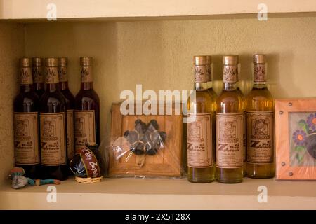 Matatlan, Oaxaca, Mexiko. Mezcal, ein alkoholischer Liquor, der in Oaxaca aus der Maguey hergestellt wird, einer Vielzahl von Agave. Stockfoto